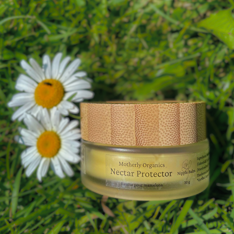 Motherly Organics Nectar Protector Nipple Balm