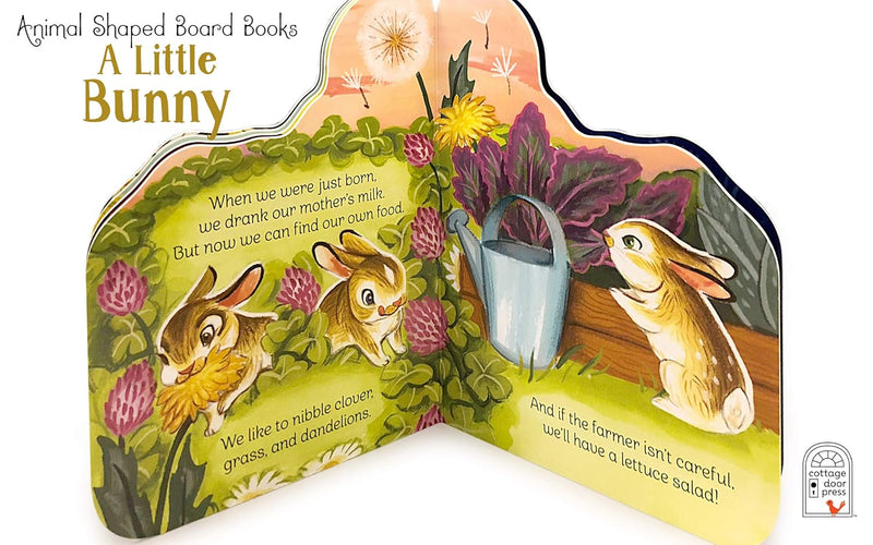 A little Bunny Animal Shaped Board Book